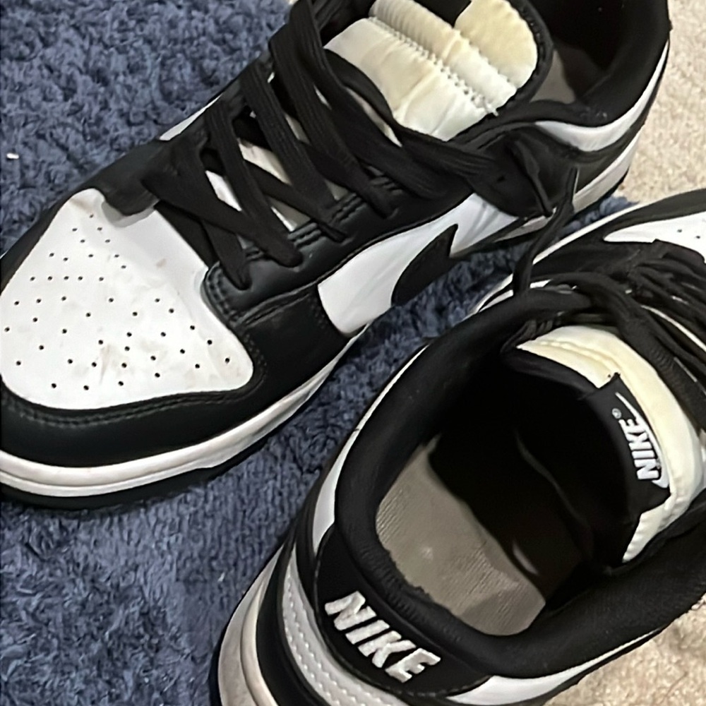 Nikes men and woman dunk low retro